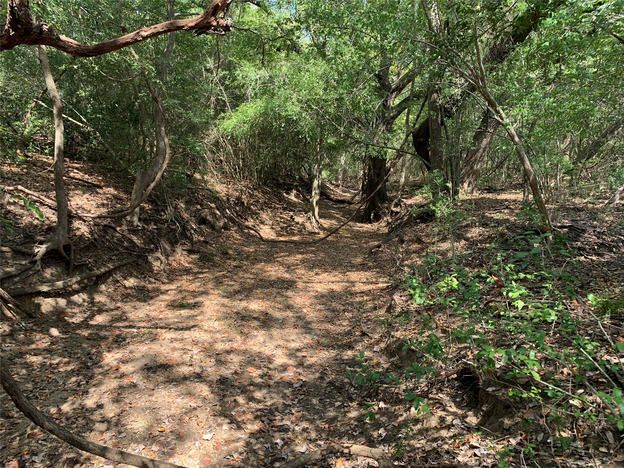 11441 Mazoch Road Weimar, TX 78962 - Photo 10 of 31