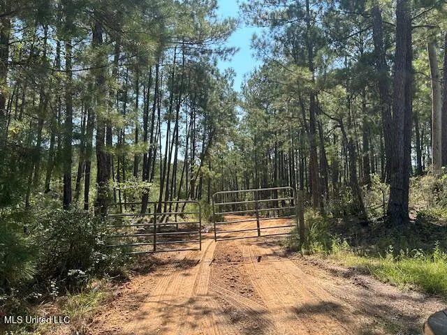 $230,000 | 0 Charlie Rhodus Road, Magnolia, MS 39652