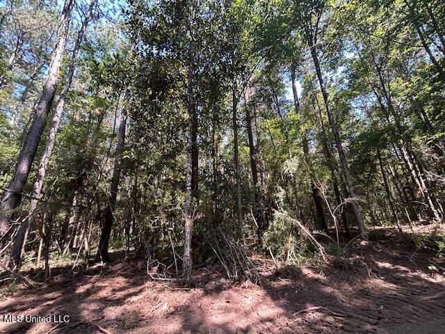 0 Charlie Rhodus Road Magnolia, MS 39652 - Photo 11 of 42 IMG_1393