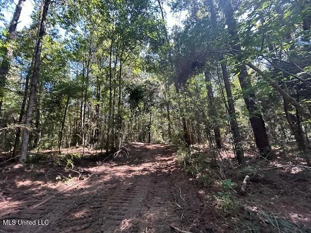 $230,000 | 0 Charlie Rhodus Road, Magnolia, MS 39652