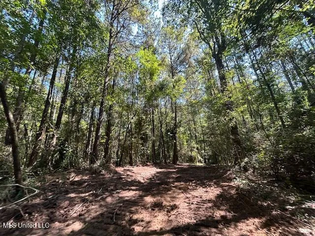$230,000 | 0 Charlie Rhodus Road, Magnolia, MS 39652