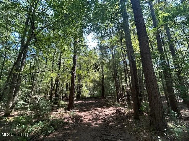 $230,000 | 0 Charlie Rhodus Road, Magnolia, MS 39652