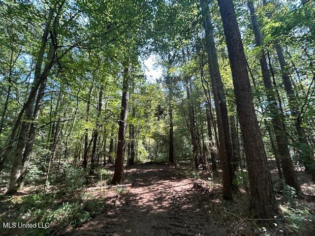 0 Charlie Rhodus Road Magnolia, MS 39652 - Photo 14 of 42 IMG_1396