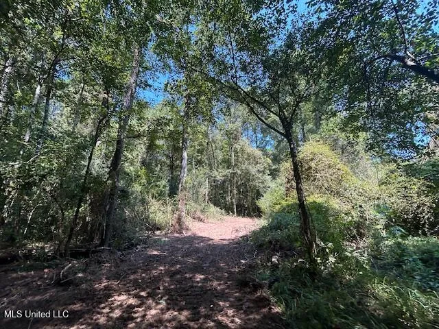 $230,000 | 0 Charlie Rhodus Road, Magnolia, MS 39652