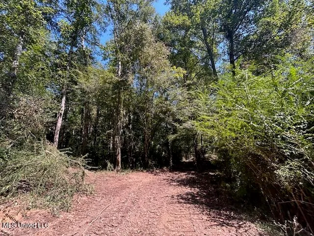 $230,000 | 0 Charlie Rhodus Road, Magnolia, MS 39652