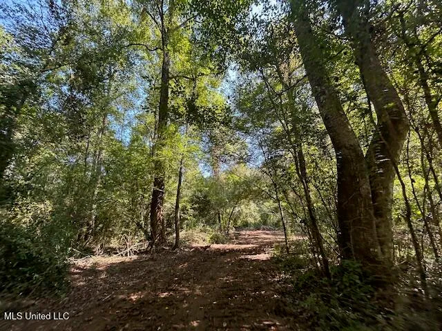 $230,000 | 0 Charlie Rhodus Road, Magnolia, MS 39652