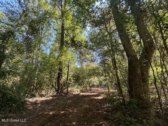 0 Charlie Rhodus Road Magnolia, MS 39652 - Photo 17 of 42 IMG_1401 (1)