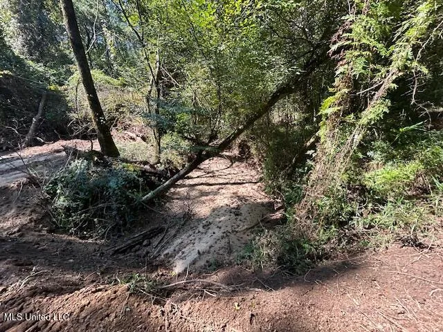 $230,000 | 0 Charlie Rhodus Road, Magnolia, MS 39652