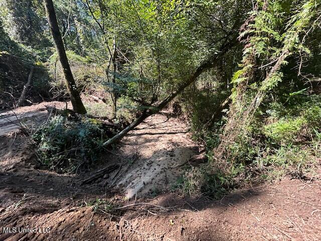 0 Charlie Rhodus Road Magnolia, MS 39652 - Photo 18 of 42 IMG_1402