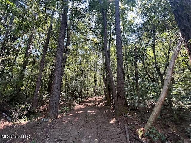 0 Charlie Rhodus Road Magnolia, MS 39652 - Photo 19 of 42 IMG_1404