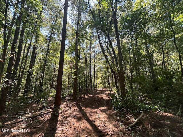 0 Charlie Rhodus Road Magnolia, MS 39652 - Photo 20 of 42 IMG_1405 (1)