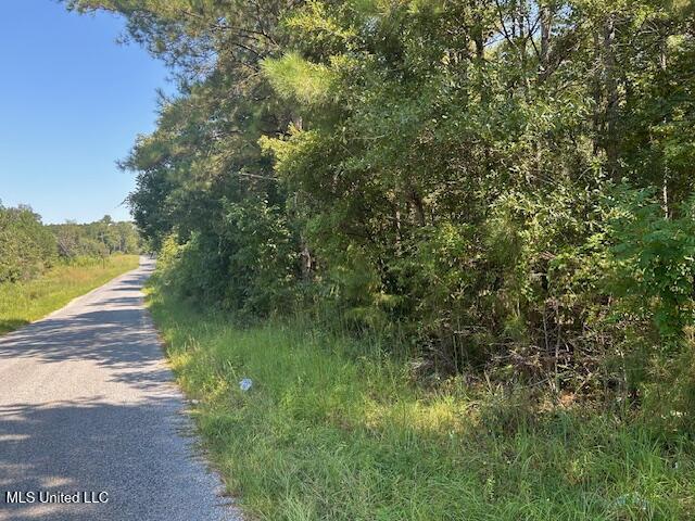 0 Charlie Rhodus Road Magnolia, MS 39652 - Photo 2 of 42 IMG_1382