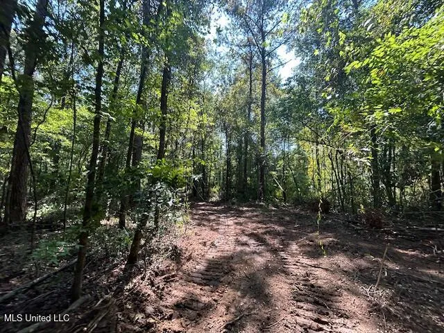 $230,000 | 0 Charlie Rhodus Road, Magnolia, MS 39652