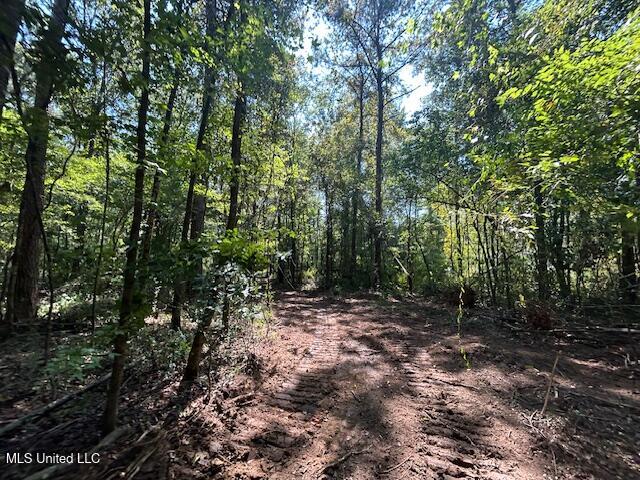 0 Charlie Rhodus Road Magnolia, MS 39652 - Photo 21 of 42 IMG_1406 (1)