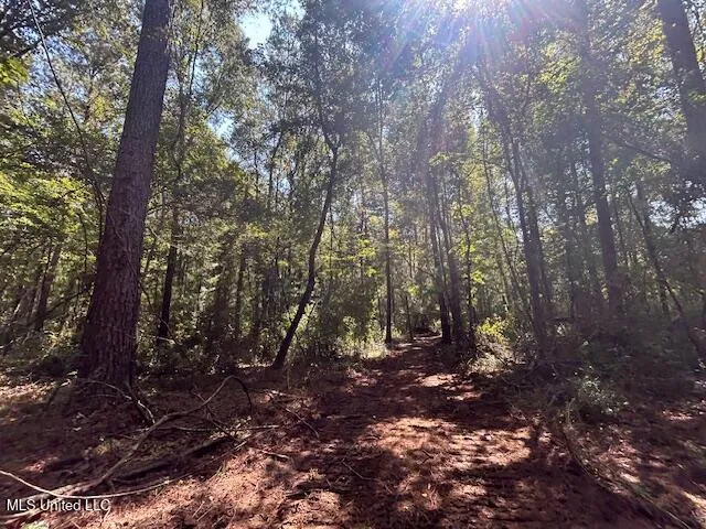 $230,000 | 0 Charlie Rhodus Road, Magnolia, MS 39652