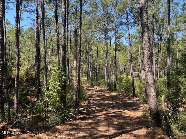 0 Charlie Rhodus Road Magnolia, MS 39652 - Photo 23 of 42 IMG_1435