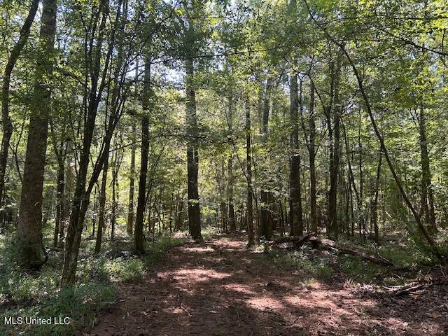 0 Charlie Rhodus Road Magnolia, MS 39652 - Photo 24 of 42 IMG_1434