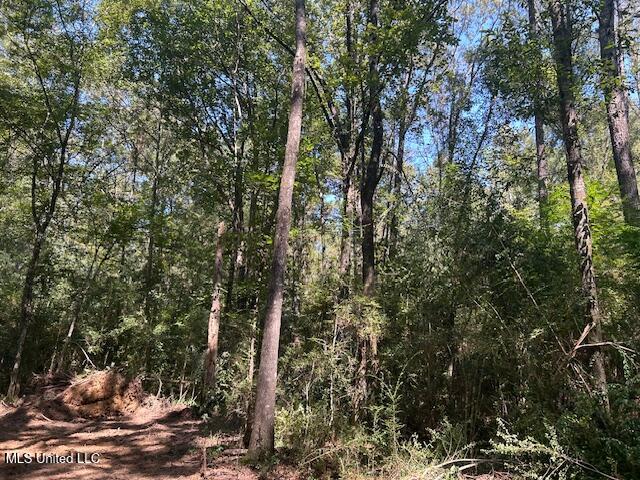 0 Charlie Rhodus Road Magnolia, MS 39652 - Photo 25 of 42 IMG_1433