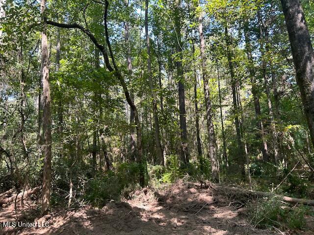 0 Charlie Rhodus Road Magnolia, MS 39652 - Photo 26 of 42 IMG_1431