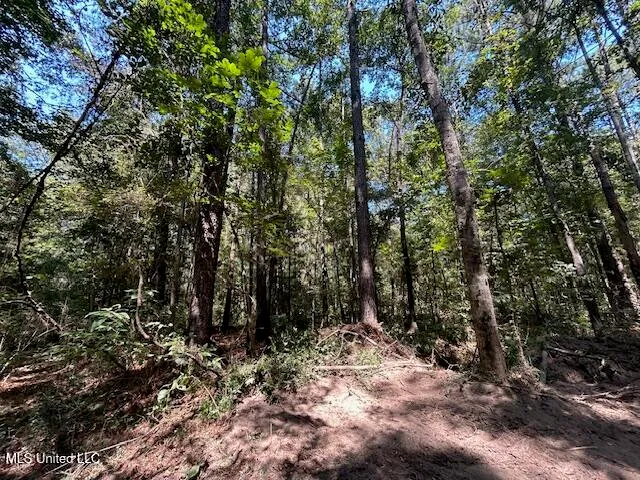 $230,000 | 0 Charlie Rhodus Road, Magnolia, MS 39652