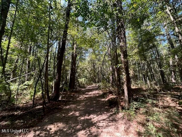 $230,000 | 0 Charlie Rhodus Road, Magnolia, MS 39652