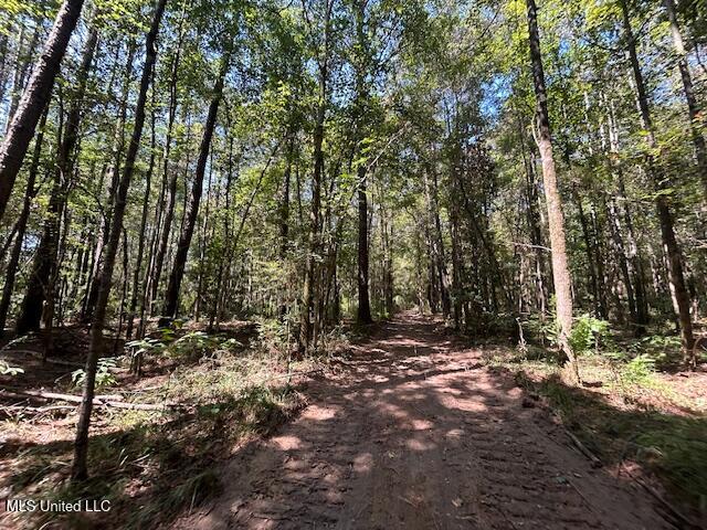 0 Charlie Rhodus Road Magnolia, MS 39652 - Photo 29 of 42 IMG_1426