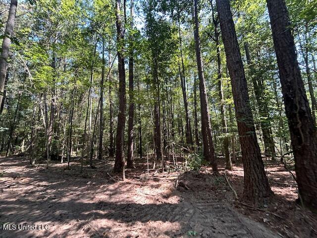 0 Charlie Rhodus Road Magnolia, MS 39652 - Photo 30 of 42 IMG_1423