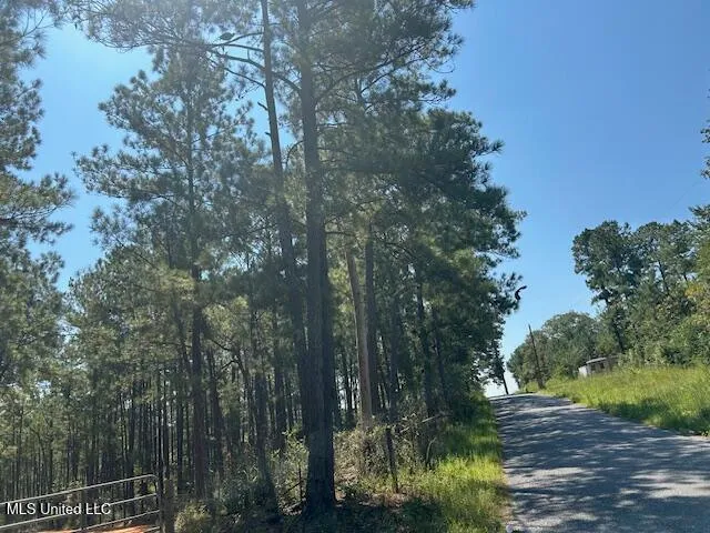 $230,000 | 0 Charlie Rhodus Road, Magnolia, MS 39652