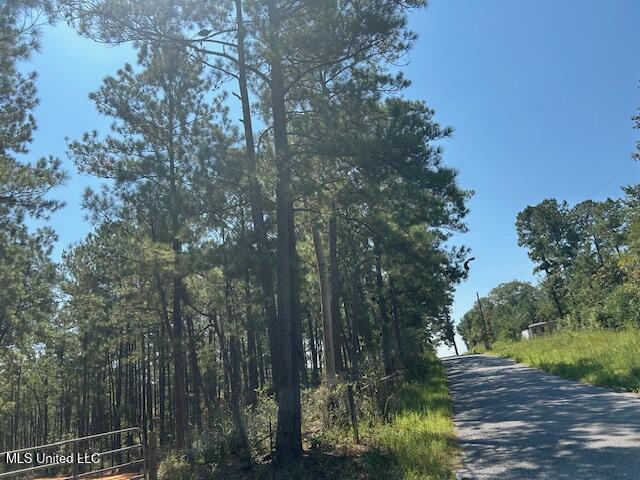 0 Charlie Rhodus Road Magnolia, MS 39652 - Photo 3 of 42 IMG_1383