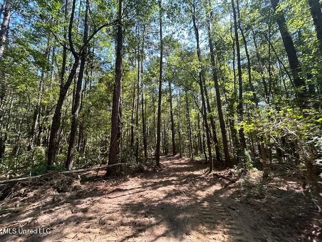 $230,000 | 0 Charlie Rhodus Road, Magnolia, MS 39652