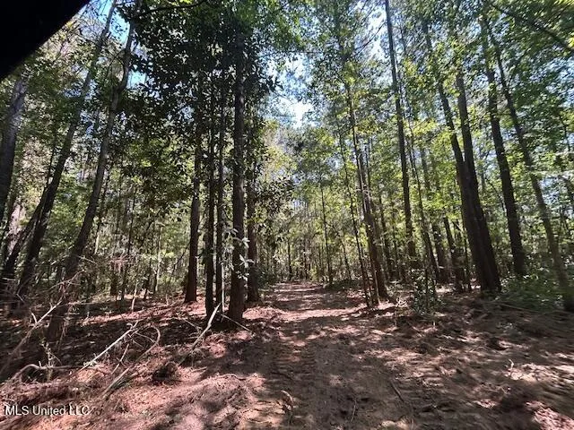 $230,000 | 0 Charlie Rhodus Road, Magnolia, MS 39652