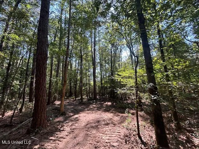 $230,000 | 0 Charlie Rhodus Road, Magnolia, MS 39652