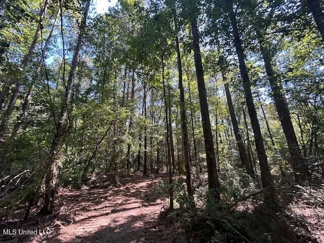 $230,000 | 0 Charlie Rhodus Road, Magnolia, MS 39652