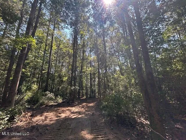 $230,000 | 0 Charlie Rhodus Road, Magnolia, MS 39652