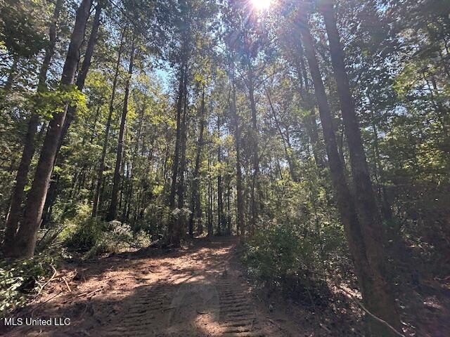 0 Charlie Rhodus Road Magnolia, MS 39652 - Photo 35 of 42 IMG_1418