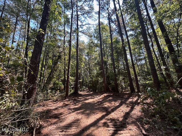0 Charlie Rhodus Road Magnolia, MS 39652 - Photo 36 of 42 IMG_1416