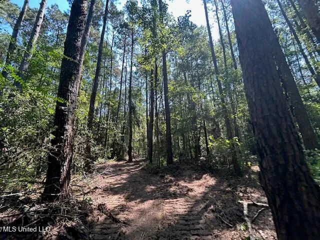 $230,000 | 0 Charlie Rhodus Road, Magnolia, MS 39652