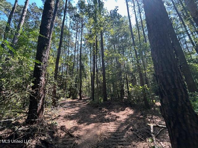 0 Charlie Rhodus Road Magnolia, MS 39652 - Photo 37 of 42 IMG_1415