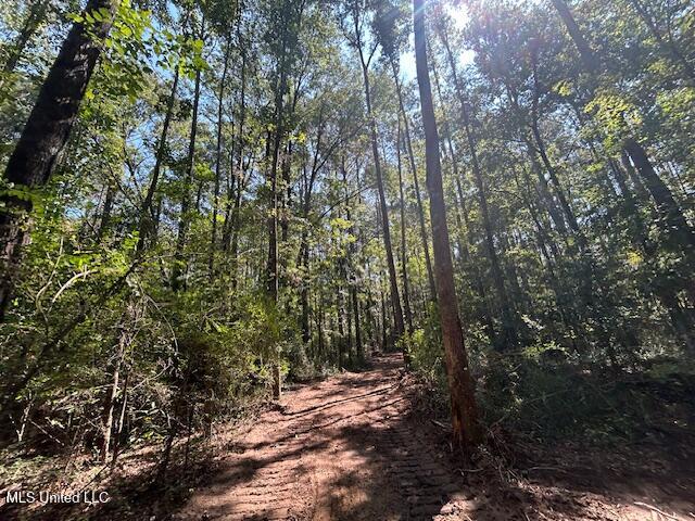 0 Charlie Rhodus Road Magnolia, MS 39652 - Photo 38 of 42 IMG_1414