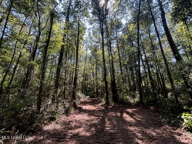 $230,000 | 0 Charlie Rhodus Road, Magnolia, MS 39652