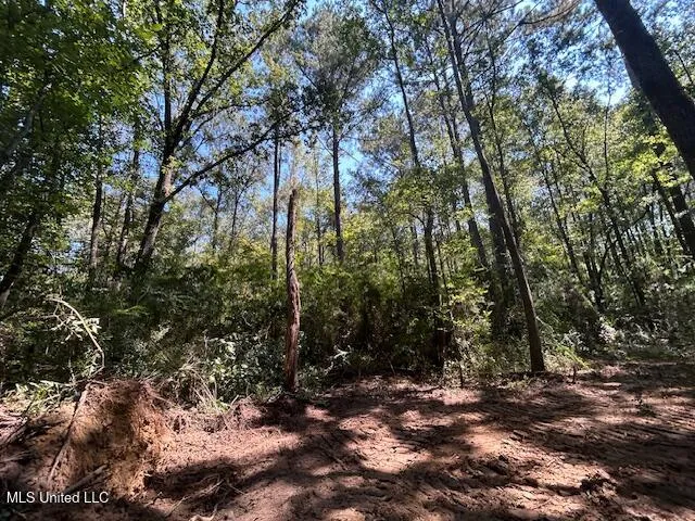 $230,000 | 0 Charlie Rhodus Road, Magnolia, MS 39652