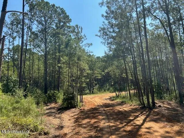 $230,000 | 0 Charlie Rhodus Road, Magnolia, MS 39652