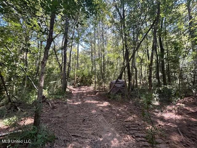 $230,000 | 0 Charlie Rhodus Road, Magnolia, MS 39652