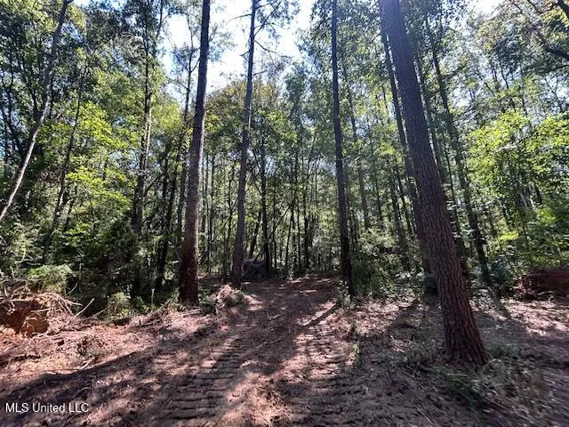$230,000 | 0 Charlie Rhodus Road, Magnolia, MS 39652