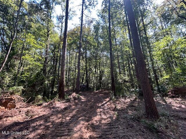 0 Charlie Rhodus Road Magnolia, MS 39652 - Photo 42 of 42 IMG_1410