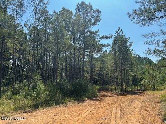 0 Charlie Rhodus Road Magnolia, MS 39652 - Photo 5 of 42 IMG_1385