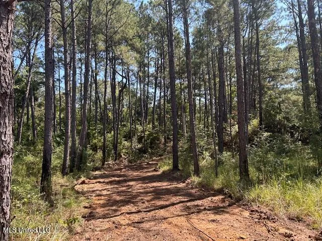$230,000 | 0 Charlie Rhodus Road, Magnolia, MS 39652