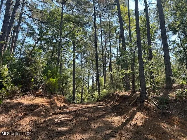 $230,000 | 0 Charlie Rhodus Road, Magnolia, MS 39652