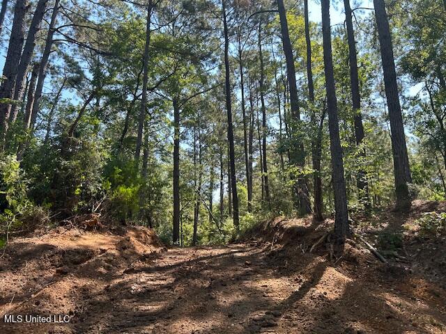 0 Charlie Rhodus Road Magnolia, MS 39652 - Photo 7 of 42 IMG_1388