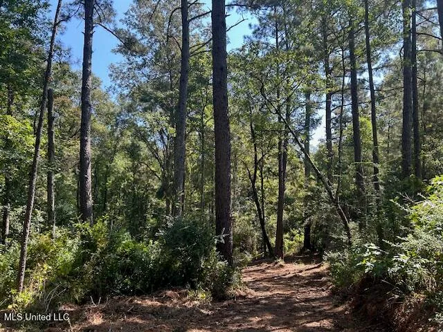 $230,000 | 0 Charlie Rhodus Road, Magnolia, MS 39652